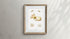 marine life varieties scientific illustration